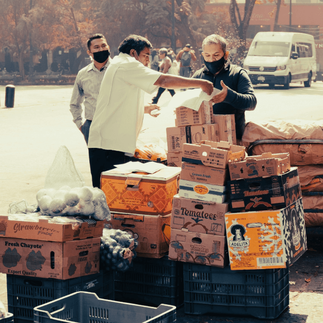 Men unpacking boxes of groceries